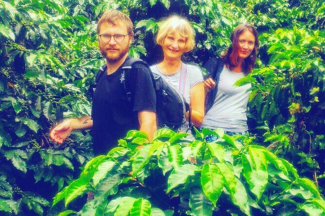 Coffee Express Tour Medellin - A Deep Dive into the Coffee Express Tour Medellin