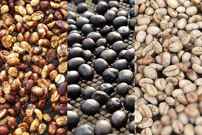 Coffee Farm and Salento Walking Tour - Coffee Farm and Salento Walking Tour: A Flavorful Journey Through Colombia’s Coffee Triangle