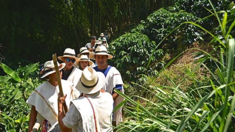 Coffee Farm and Santa Rosa Hot Springs from Pereira/Armenia - The Coffee Farm: Behind the Scenes of Colombia’s Coffee Capital