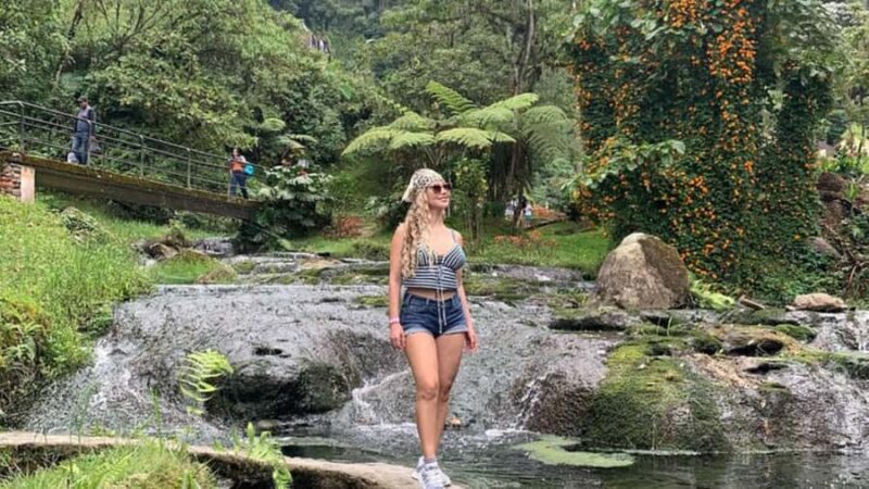 Coffee Farm and Santa Rosa Hot Springs from Pereira/Armenia - Considerations and Practical Tips