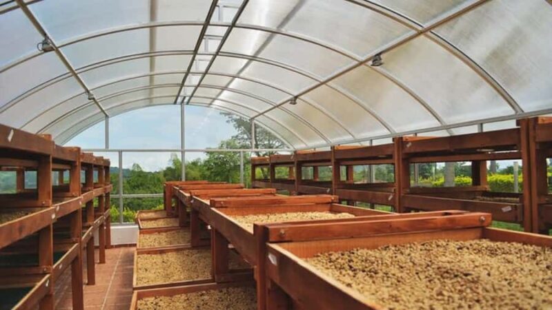 Coffee Farm and Santa Rosa Hot Springs from Pereira/Armenia - Who Will Appreciate This Tour?