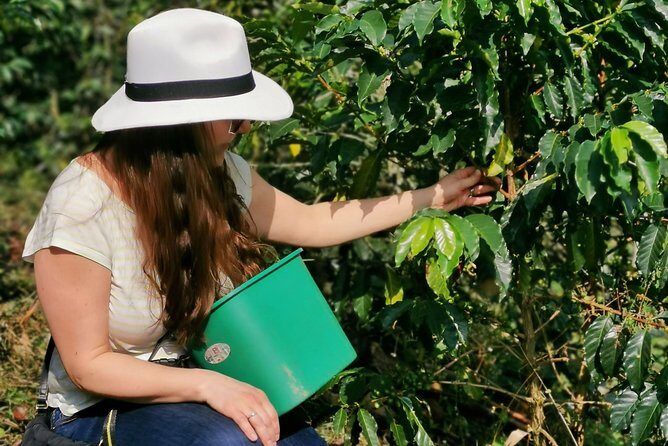 Coffee Farm & ATVs Private Tour in Medellin: Stunning Views & Fun - Coffee Farm & ATVs Private Tour in Medellín: Stunning Views & Fun