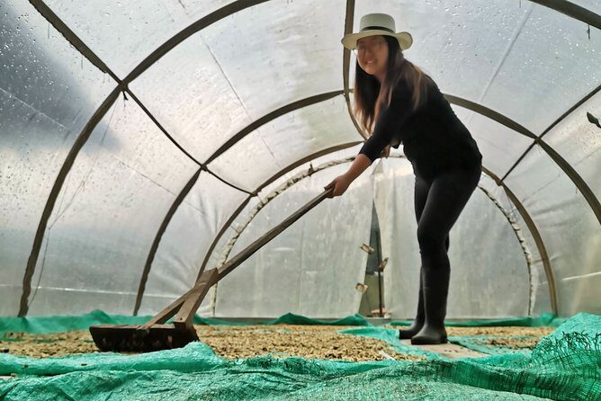 Coffee Farm & ATVs Private Tour in Medellin: Stunning Views & Fun - Exploring the Itinerary: From City to Coffee and Mountains