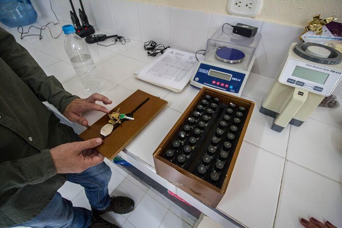 Coffee Farm Experience at Hacienda San Alberto from Salento - Coffee Farm Experience at Hacienda San Alberto from Salento