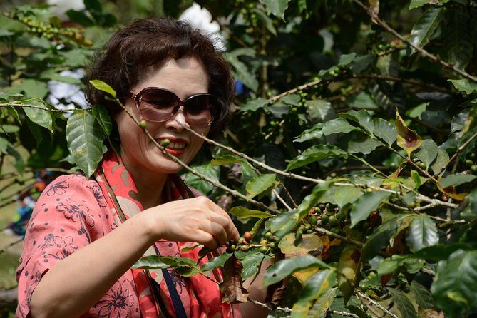 Coffee Farm - Group Tour and Daily Departure - The Sum Up: Is It Worth It?