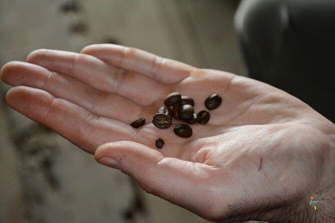 Coffee Farm - Group Tour and Daily Departure - FAQ