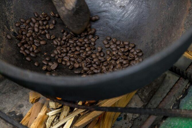 Coffee Farm Hike Through Jamaica Blue Mountains from Ocho Rios - In-Depth Review of the Coffee Farm Hike Experience