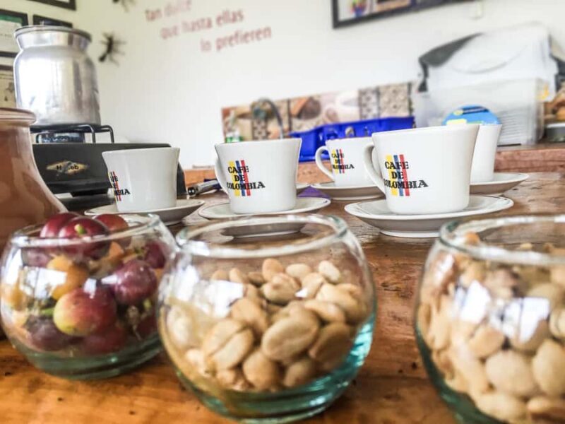 Coffee Farm Tour at Finca El Ocaso from Salento - Coffee Farm Tour at Finca El Ocaso from Salento