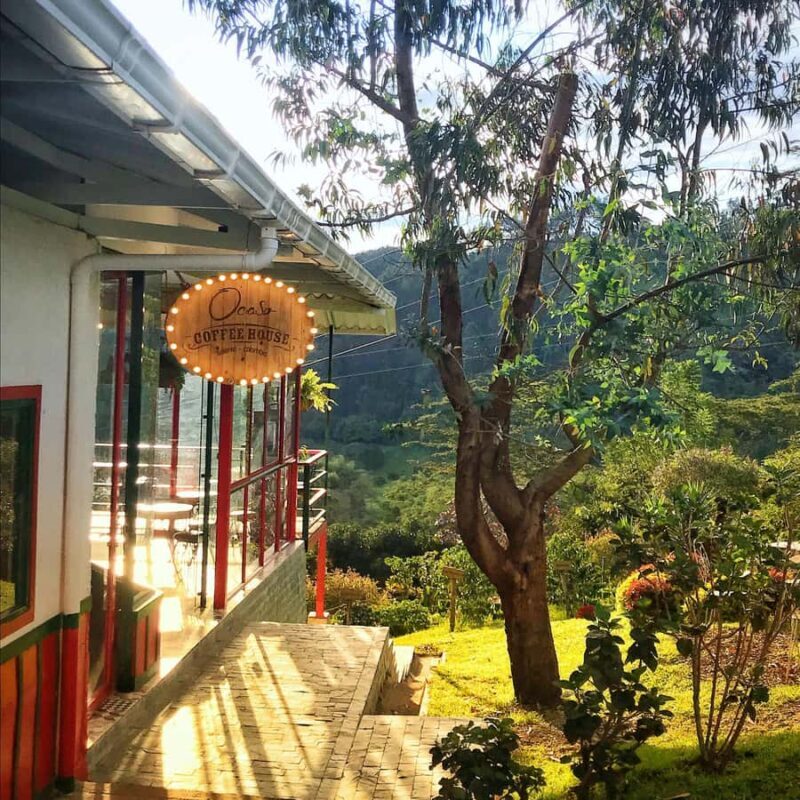 Coffee Farm Tour at Finca El Ocaso from Salento - Final Thoughts