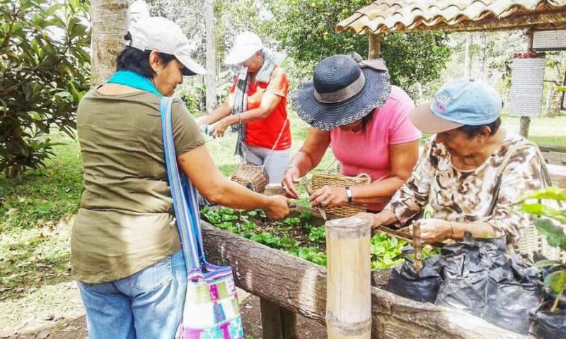 Coffee Farm Tour at Finca El Ocaso from Salento - FAQ