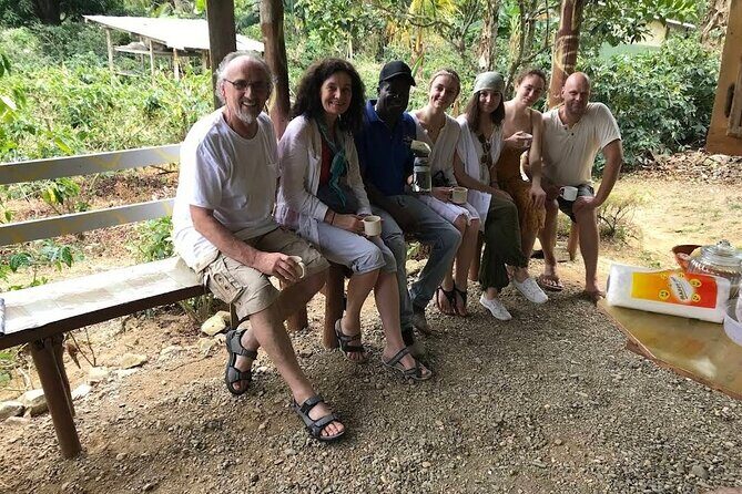 Coffee Farm Tour from Port Antonio - An In-Depth Look at the Coffee Farm Tour from Port Antonio