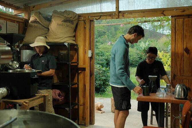Coffee Farm Tour with Tasting and Workshop at Da Lat - Who Will Love This Tour?