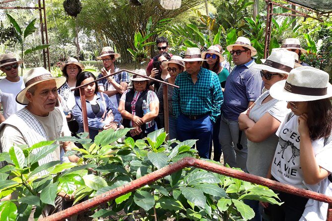 Coffee & flowers: Coffee Experience in Bogotá, Colombia - Key Points