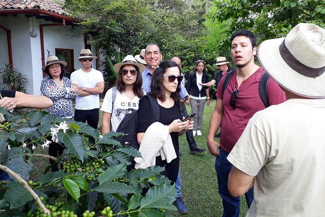 Coffee & flowers: Coffee Experience in Bogotá, Colombia - Who Should Consider This Tour?