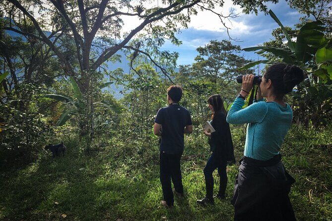 Coffee Lands Birdwatching Tour (transport + guiding) - FAQs