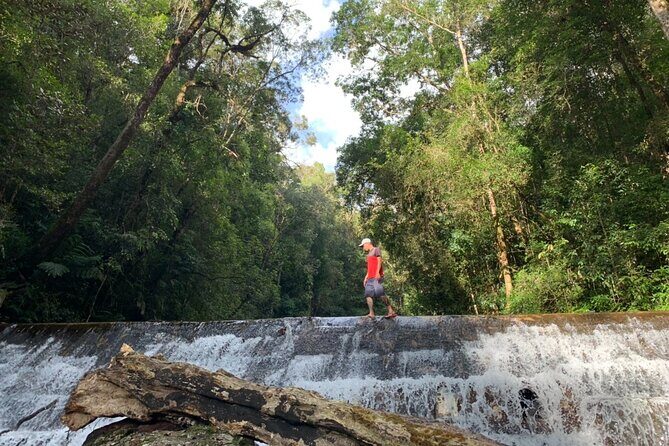 Coffee Lovers Farm and Roasting Tour - Authenticity and Value