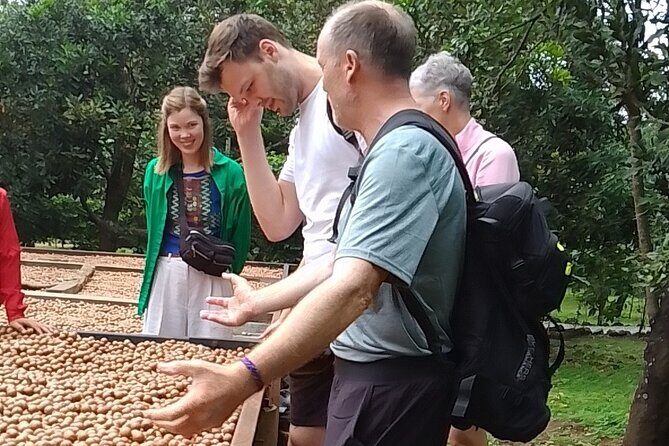 Coffee & Macadamia Fincas Tour - A Closer Look at the Experience