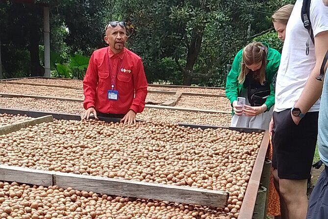 Coffee & Macadamia Fincas Tour - Who Will Love This Tour?