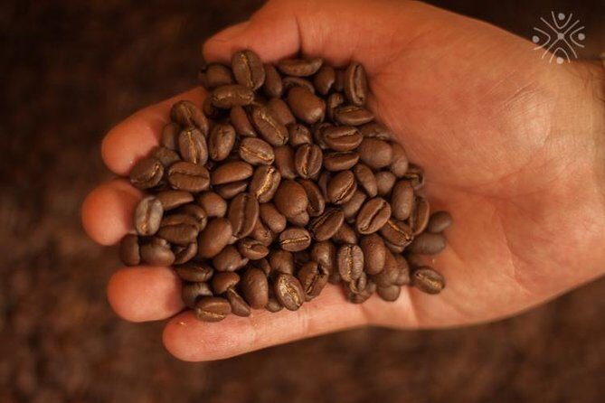 Coffee Paradise at El Paraiso - Experience from Bogota - Practical Details You Need to Know