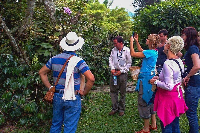 Coffee Plantation Tour From Bogota - A Deep Dive into the Coffee Plantation Tour from Bogotá