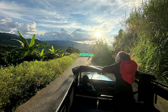 Coffee Region Andes Mountains: Coffee Tour, Pijao & Buenavista - Authenticity and Value