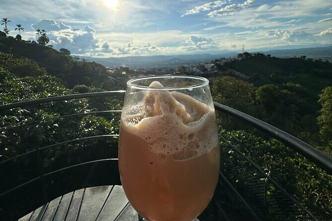 Coffee Region Andes Mountains: Coffee Tour, Pijao & Buenavista - The Sum Up