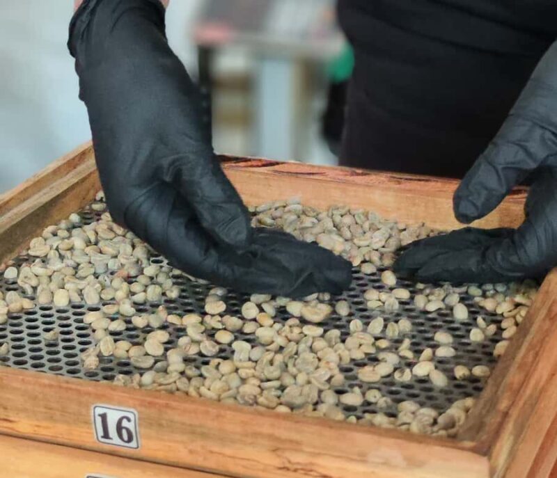 Coffee Tasting Experience in Cali - The Perfect Audience for This Tour