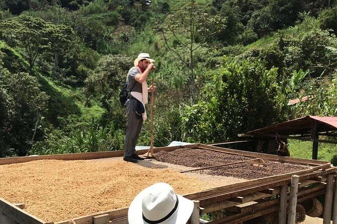Coffee Tour - All inclusive - Medellín - Discover Medellín’s Coffee Heritage with an All-Inclusive Tour