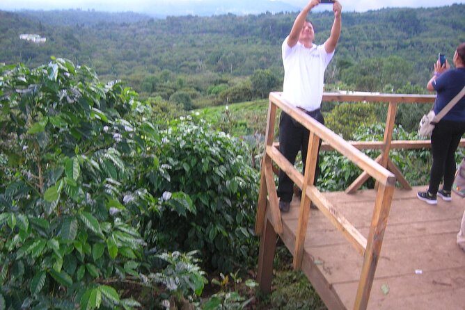 Coffee tour and thermal waters - Who Should Consider This Tour?