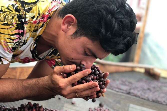 Coffee Tour Finca Jaguar - Discover the Heart of Colombian Coffee with Jaguar Finca Tour