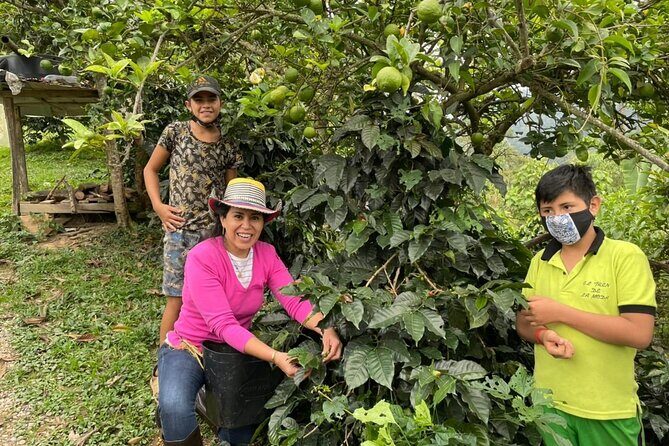 Coffee Tour Finca Jaguar - Practical Details and Value