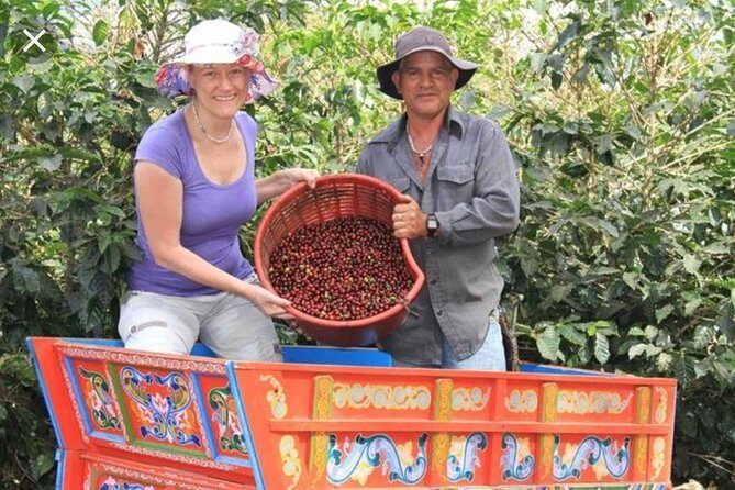 Coffee Tour, Grecia and Sarchi Oxcarts. Private Tour - An In-Depth Look at the Costa Rican Coffee and Cultural Tour