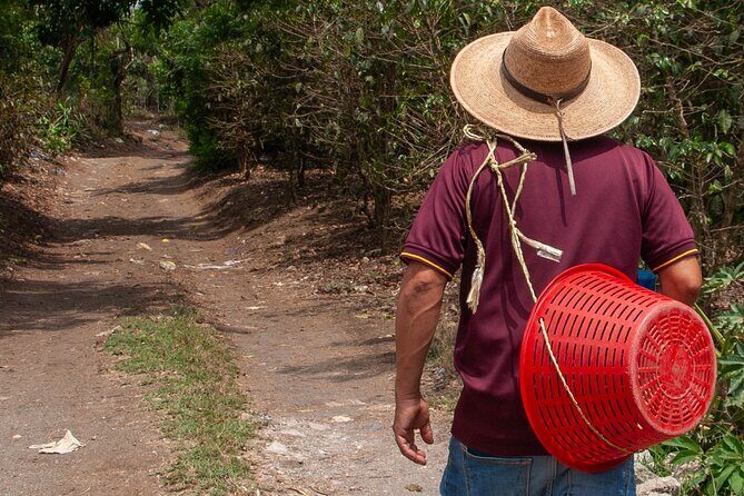 Coffee Tour in Antigua Guatemala - Who Should Take This Tour?