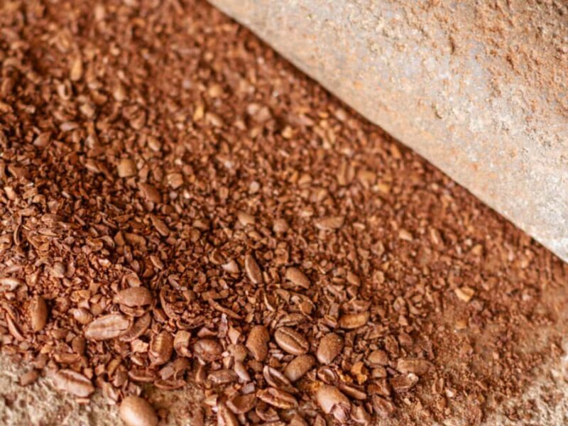 Coffee Tour in Antigua Guatemala - A Closer Look at the Coffee Tour Experience