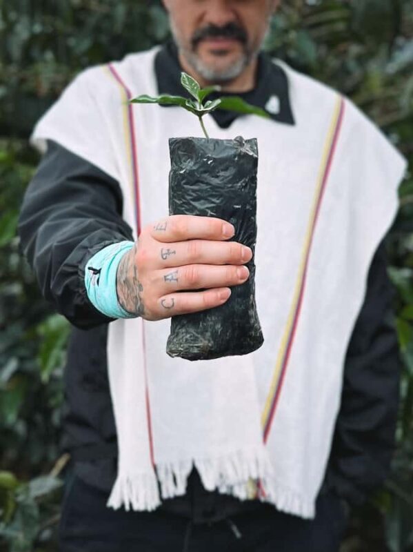 Coffee Tour in Garden Antioquia - From Medellín - An In-Depth Look at the Coffee Tour Experience