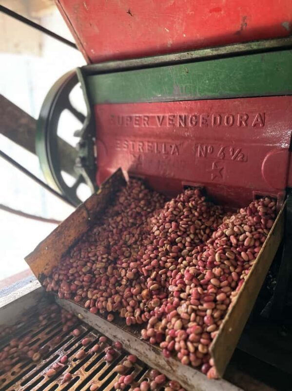 Coffee Tour in Garden Antioquia - From Medellín - Who Will Appreciate This Tour?
