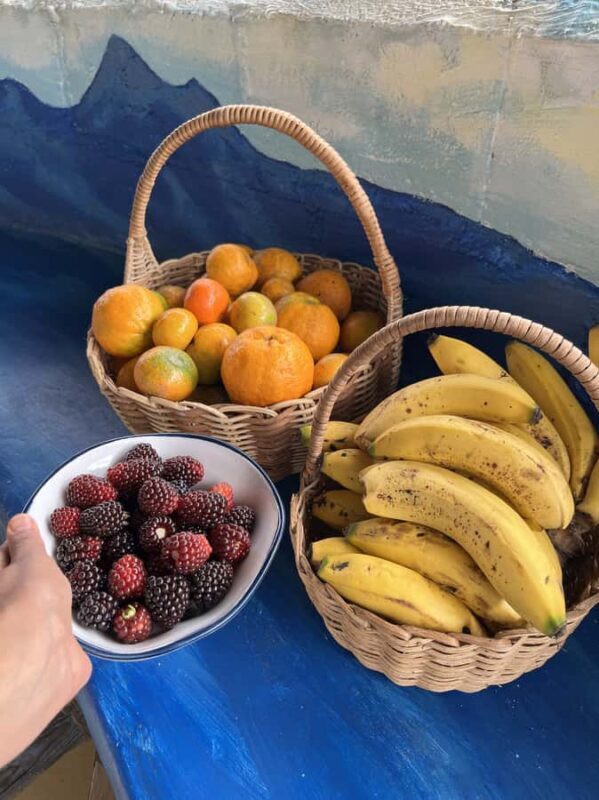 Coffee Tour in Garden Antioquia - From Medellín - FAQ