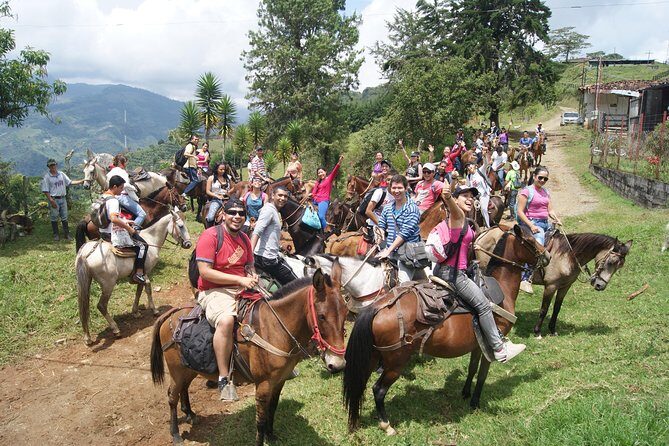 Coffee Tour In Horse Riding and Lunch In Medellin - An In-Depth Look at the Coffee and Horseback Riding Tour