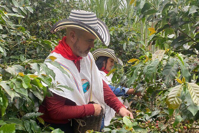 Coffee tour in Medellín with tastings and transportation - Frequently Asked Questions
