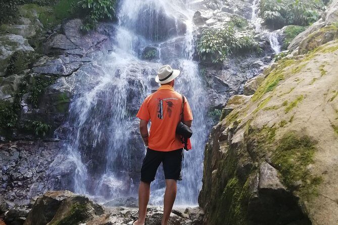 Coffee Tour La Victoria and waterfalls in Minca - Private Tour - An In-Depth Look at the Coffee Tour La Victoria and Waterfalls in Minca