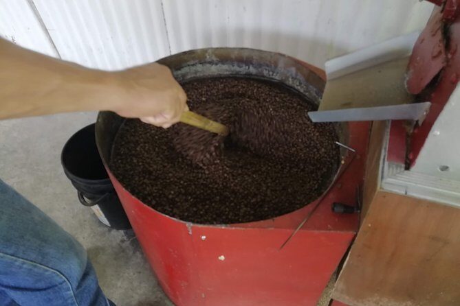 Coffee Tour La Victoria and waterfalls in Minca - Private Tour - Final Thoughts