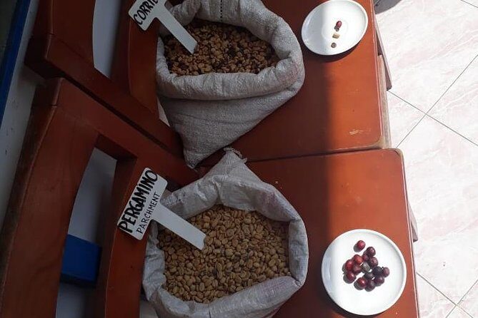 Coffee tour Medellin - Coffee Tour Medellín: An Authentic Taste of Colombia’s Coffee Heritage