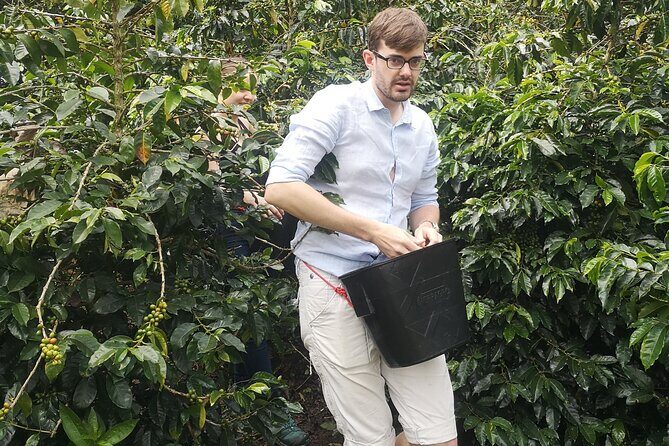 Coffee tour Medellin - FAQ: Your Coffee Tour Medellín Questions Answered