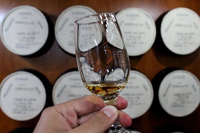 Coffee tour & rum tasting - What Makes This Tour Stand Out?