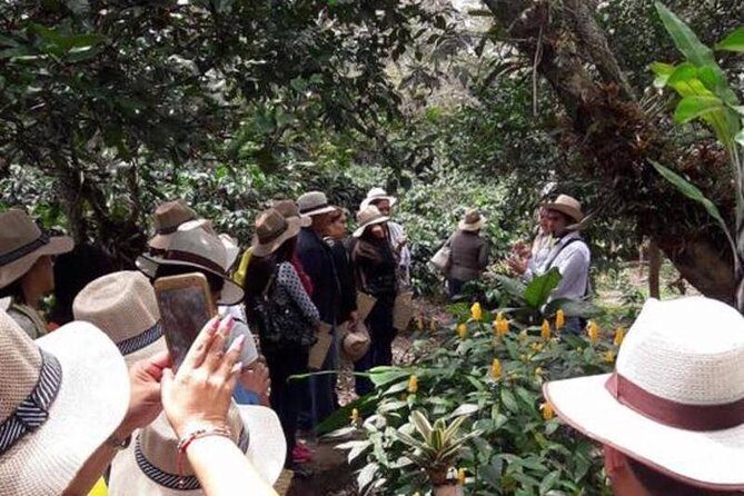 Coffee tour & rum tasting - Final Thoughts: Is This Tour Worth It?