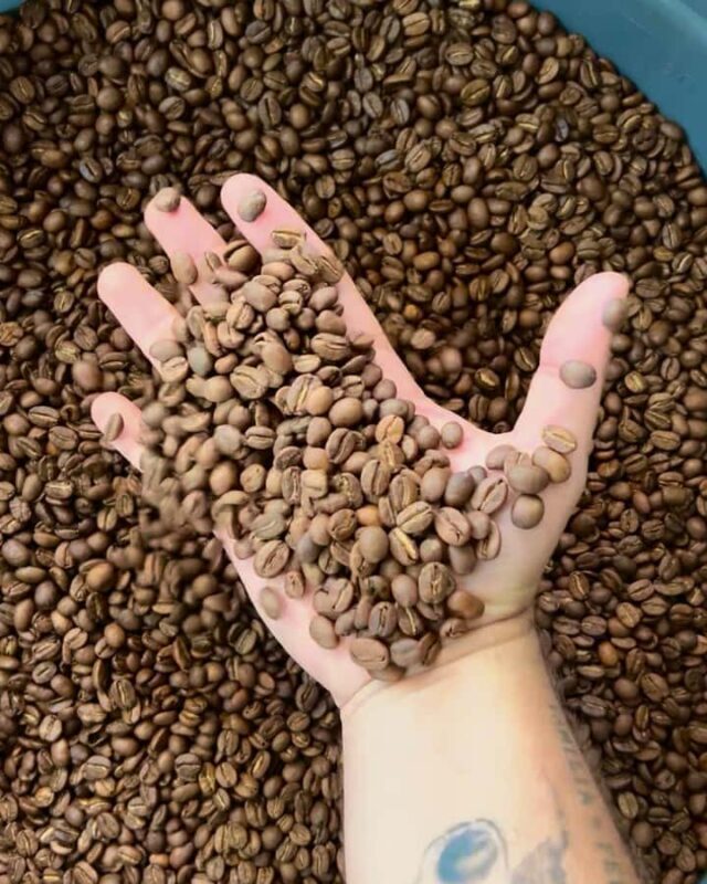 Coffee Tour Salento-Ocaso Farm- English Tour - Engaging Overview of the Coffee Tour at Ocaso Farm in Salento