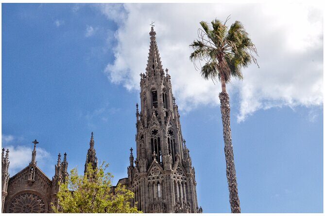 Coffee & Wine: North Route of Gran Canaria Tour - What Travelers Say