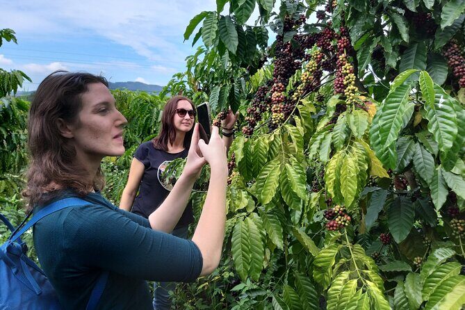 Coffee - Wine - Tea: Dalat Treasures tour - Final Thoughts