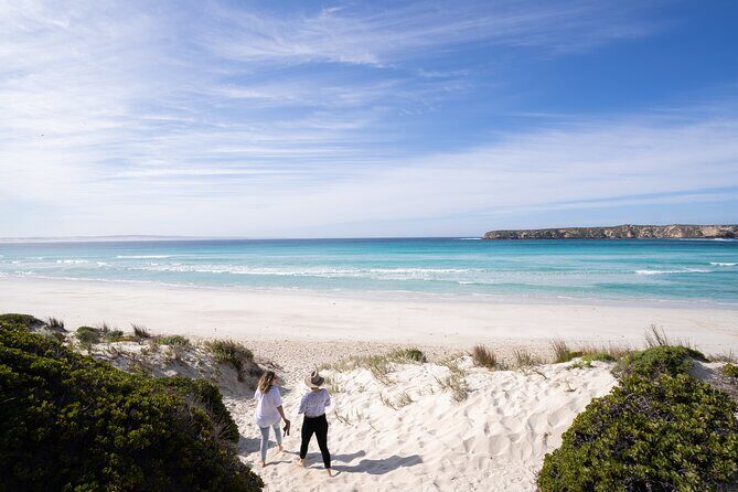 Coffin Bay Day Tour - A Taste of Coffin Bay - Authentic Views from Real Travelers