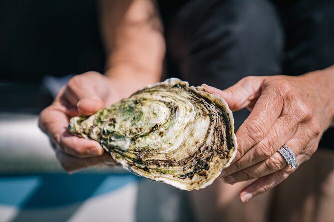 Coffin Bay Day Tour - A Taste of Coffin Bay - Who Should Consider This Tour?